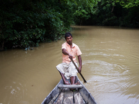 A boatman named Md Islam ferrying tourists inside Ratargul Swamp Forest on April 3, 2015 in Sylhet, Bangladesh.
Ratargul swamp forest is on...