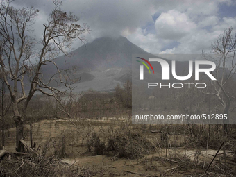 Sinabung hit the abandoned rice fields after the latest eruption in Karo, Sumatra, Indonesia, April 3, 2015. According to authorities, the M...