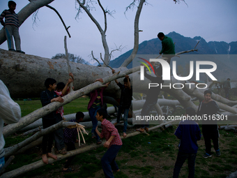 SRINAGAR, INDIAN ADMINISTERED KASHMIR, INDIA -APRIL 07: Kashmir children play on an uprooted Chinar tree in Shalimar Mughal gardens during s...
