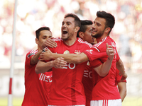 Benfica's defender Jardel Vieira celebrates hs goal with teammates  during the Portuguese League  football match between SL Benfica and Acad...