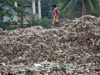 The destination for much of Kolkata's solid waste over the past 32 years. It is estimated that only 10 percent of Kolkata's waste is recycle...