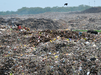 The destination for much of Kolkata's solid waste over the past 32 years. It is estimated that only 10 percent of Kolkata's waste is recycle...
