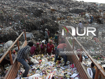 Indians look for recyclable material at a dumping site on the eve of World Earth Day in Guwahati in the Northeastern Assam state on April 21...