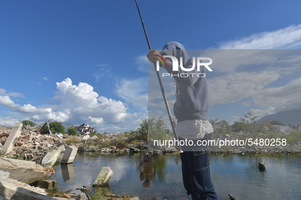 A man fishes in a lake formed in a former residential area that was destroyed by the earthquake and liquefaction in Balaroa, Palu City, Cent...