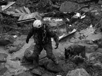 (EDITOR'S NOTE: Image was converted to black and white) A fireman and a sniffer dog walk on the rubble looking for victims after the collaps...