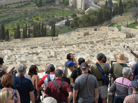 Tourists look from the Mount of Olives at the panoramic view of Jerusalem and the main Jewish cemetery.
Israel's Health Ministry just announ...