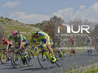 The peloton during the sixth stage of the 51st Presidential Cycling Tour of Turkey from Denizli to Selcuk. 
Selcuk, Turkey, on May 1, 2015....