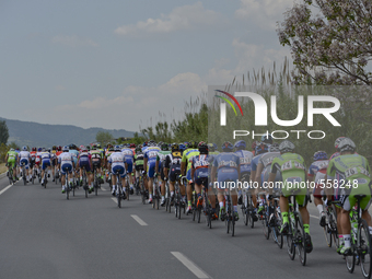 The peloton during the sixth stage of the 51st Presidential Cycling Tour of Turkey from Denizli to Selcuk. 
Selcuk, Turkey, on May 1, 2015....