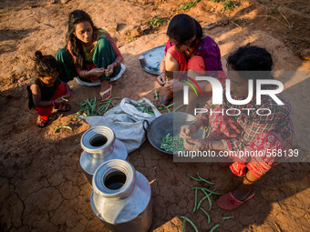 Villagers are preparing vegetables for their dinner. Dhading, Nepal. May 5, 2015 (