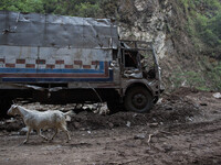 A goat pass near a destroy truck who was used for carrying goods until Kathmandu on the Araniko Road near the Kobani Village (Tibetan Border...