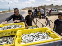 Palestinian fishermen displays the day's catch in the street near the beach in the Az-Zawayda area of the central Gaza Strip, on 27 May, 202...