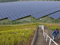 7,900 mega solar panels are arranged at Aikawa Solar Power Plant in Kanagawa, south of Tokyo, on May 10, 2015.  (