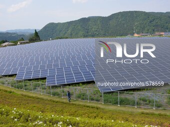 7,900 mega solar panels are arranged at Aikawa Solar Power Plant in Kanagawa, south of Tokyo, on May 10, 2015.  (