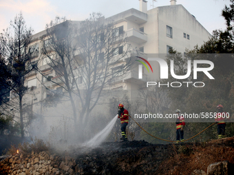 Firefighters try to extinguish a fire in Cascais, Portugal, on July 16, 2020. Portuguese government declared an alert situation in mainland...