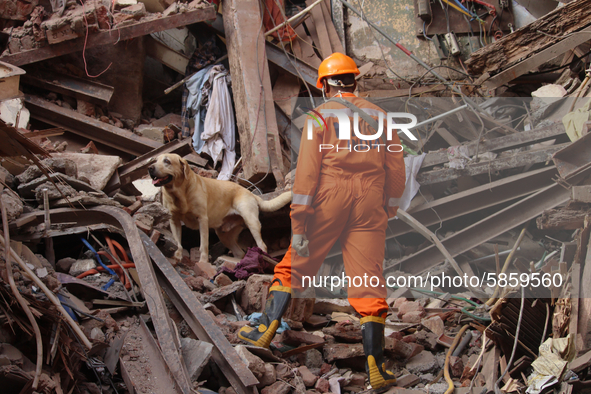 A rescue worker with a search dog are seen at the site of a collapsed residential building in Mumbai, India on July 17, 2020. Six people wer...
