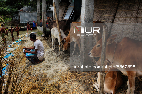 People and cattle take shelter at a school as the flood occurred at Jatrapur area in Kurigram, Bangladesh on Saturday, July 18, 2020. 
