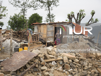 SINDHUPALCHOK, NEPAL-- May 15, 2015-- A woman in a makeshift shelter in the village of Harre Dada in the severely earthquake affected region...