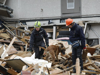March 21, 2011-Ofunato, Japan-Polish Rescue team Searching burial body on debris and mud covered at Tsunami hit Destroyed Industrial Area in...