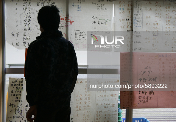 March 23, 2011-Rikuzen Takata, Japan-Native Survivor look missing person list with find their family name at refugee camp in Rikuzentakata o...