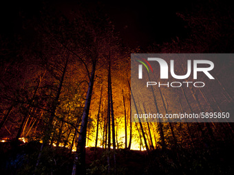 Forest on fire during the night in the Gran Sasso National Park, Italy, on July 31, 2020. A very large fire occurred yesterday in Arischia,...