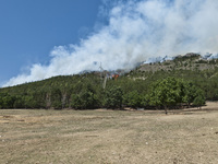 Firefighters and volunteers are working to prevent the fire from reaching the houses that are close to the mountain in a residential neighbo...