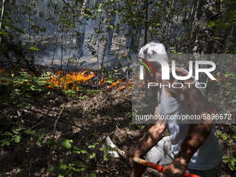 Firefighters and volunteers are working to prevent the fire from reaching the houses that are close to the mountain in a residential neighbo...