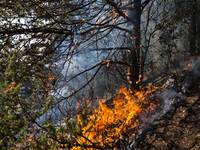 Eight hundred hectares of mountain gone up in smoke in L’Aquila, Italy, on 3 August, 2020,  fire 200 meters from the town.  	Eight hundred h...