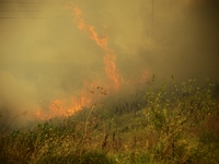 Huge Forest fire is burnig between the villages of Balgarin, Rogozinovo and the town of Kharmanli, Bulgaria, which are located some 30 kilom...