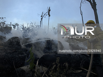 Fire and prevention group from IBAMA (Brazilian Institute of Environment) combat fire spots on August 15, 2020, near the city of Novo Progre...