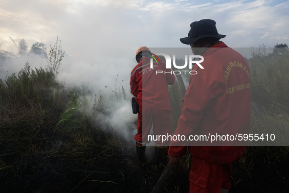 The Indonesian National Army, BNPB and Manggala Agni extinguished forest and land fires in KTM Village, Ogan Ilir Regency, South Sumatra, In...