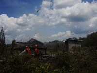 Firefighters are extinguishing the fire of land and forest fires that grabbed a chicken coop in Ogan Ilir Regency, South Sumatra, Monday, Au...
