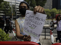 Activist in favor of the legalization of marihuana which proposes the regulation of medical and recreational use of Cannabis in Mexico durin...
