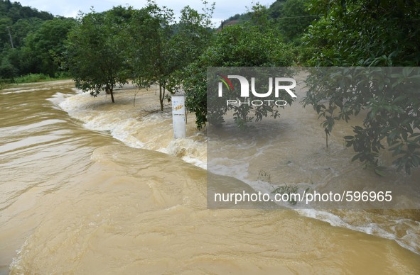 GUILIN, May 20, 2015 () -- An orchard is flooded in Wutong Town of Guilin, south China's Guangxi Zhuang Autonomous Region, May 20, 2015. As...