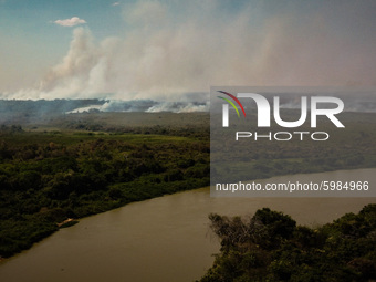 Out of control forest fire burns the area of the Brazilian Pantanal in rural Pocone, Mato Grosso, Brazil, on August 19, 2020  in the largest...