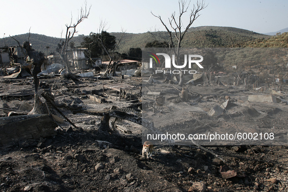 View of the remains of Camp Moria , in Lesbos Island, Greece, on September 14, 2020 