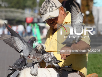 A man feeds pigeons on a sunny day on the Independence Square in Kyiv, Ukraine on 22 September 2020. (