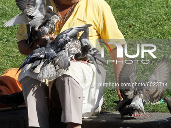 A man feeds pigeons on a sunny day on the Independence Square in Kyiv, Ukraine on 22 September 2020. (