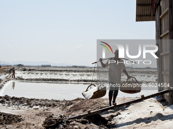 Portrait of the workers of the Kampot salt pans, during the collection of salt that is transported in baskets weighing twenty or thirty kilo...