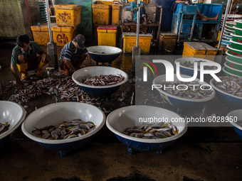 Situation at Fish Market at North Jakarta on 24 September 2020. Jakarta's return to stricter social-distancing measures has dashed hopes tha...