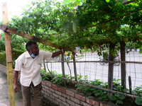 A man cultivation vegetable on the side of busy road in Dhaka city in Bangladesh, on September 25, 2020  (
