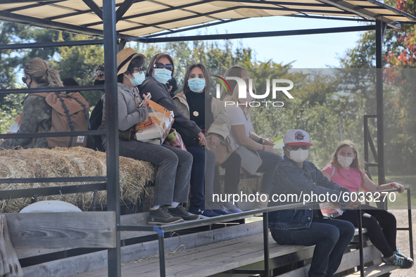 People wear face masks while on a hay ride at an apple farm during the novel coronavirus (COVID-19) pandemic in Milton, Ontario, Canada, on...