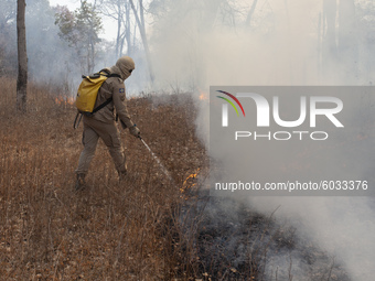 Firefighter extinguishes a fire on September 24, 2020, in the city of Barao de Melgaco, in Mato Grosso, Brazil. The wind, the heat, the low...