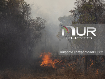 Fire outbreak in the city of Barao de Melgaco, in Mato Grosso, Brazil, on September 25, 2020. The wind, the heat, the low humidity, the lack...
