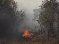 Fire outbreak in the city of Barao de Melgaco, in Mato Grosso, Brazil, on September 25, 2020. The wind, the heat, the low humidity, the lack...