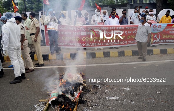 Activists and members of various farmer association are seen in their mass protest against the farm bill of government of India as it passes...