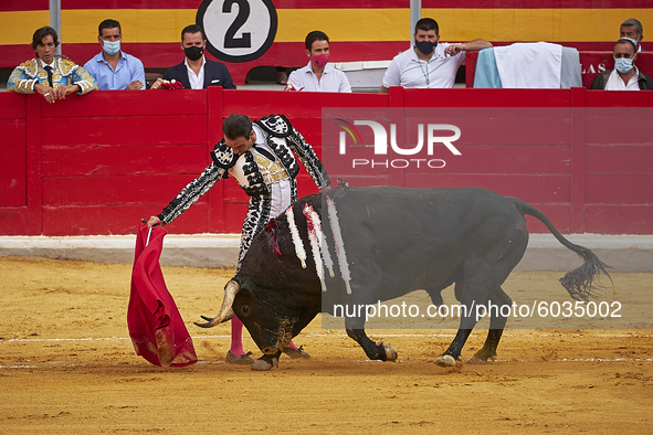 Spanish bullfighter Enrique Ponce performs a pass with 'capote' on a bull during the Virgen de las Angustias Bullfighting Festival at the Mo...