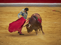 Spanish bullfighter Curro Diaz performs a pass with 'capote' on a bull during the Virgen de las Angustias Bullfighting Festival at the Monum...