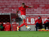 Everton of SL Benfica in action during the Portuguese League football match between SL Benfica and Moreirense FC at the Luz stadium in Lisbo...
