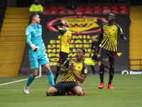   Joao Pedro of Watford after his missed goal opportunity during the Sky Bet Championship match between Watford and Luton Town at Vicarage R...