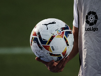 Ball boy with this season's new puma ball during the La Liga Santader match between Elche CF and Real Sociedad at Estadio Martinez Valero on...